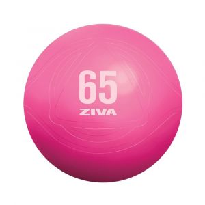 Fitball 55 cm ZIVA Chic - Rosa